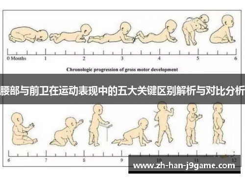腰部与前卫在运动表现中的五大关键区别解析与对比分析