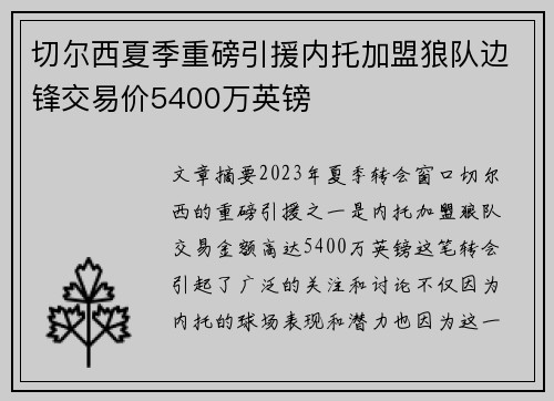 切尔西夏季重磅引援内托加盟狼队边锋交易价5400万英镑 切尔西夏季重磅引援内托加盟狼队边锋交易价5400万英镑